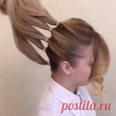 (24) Одноклассники