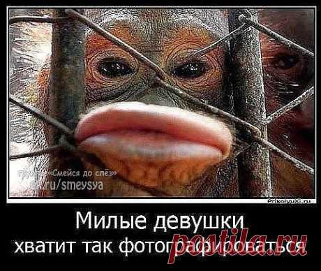 Кто губы накачивает, кто сиськи вставляет, кто задницу ....... поймите вы наконец,!!!.........сколько Жигуль не тюнингуй,-— Мерседес НЕ получится!!!!