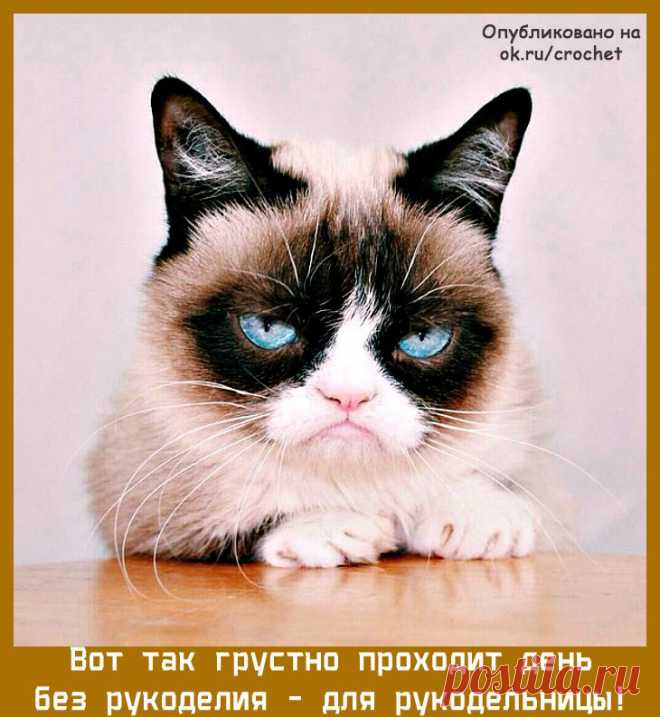 (32) Одноклассники