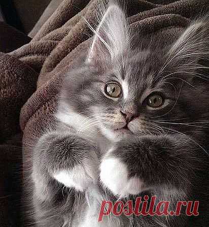 (2) Pinterest