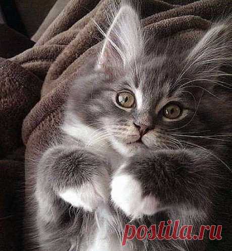 (2) Pinterest