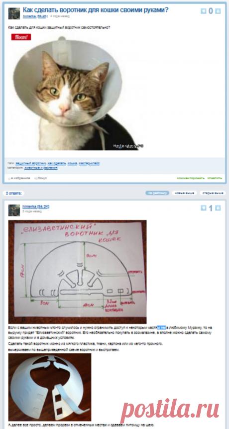 Как сделать воротник для кошки своими руками?