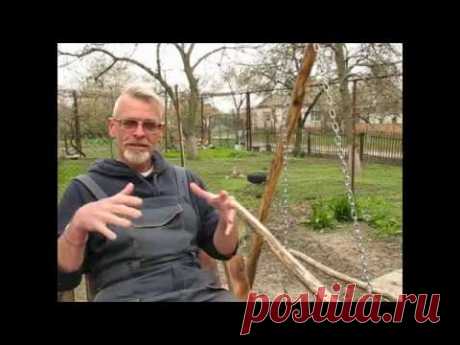 Мульча. Зачем, как и чем?