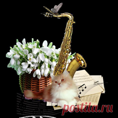 Мелодия весны - клипарт в Png