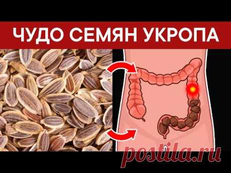 С помощью СЕМЯН УКРОПА избавилась от 20 недугов. Не ожидала такого!