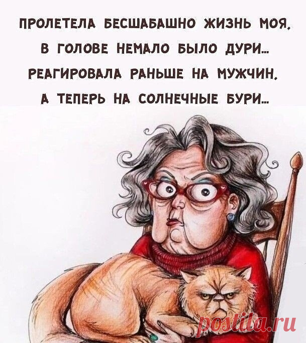 i (609×683)