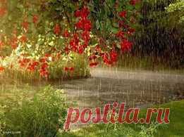 (10) Facebook