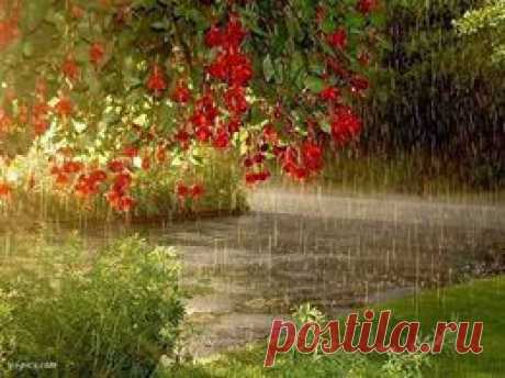 (10) Facebook