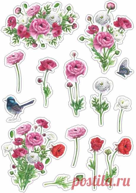 (24) Pinterest