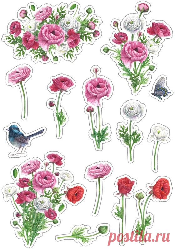 (24) Pinterest