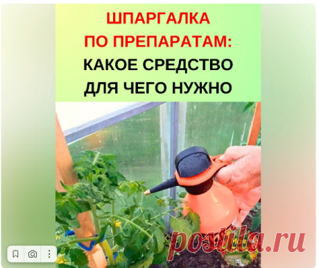 Новости