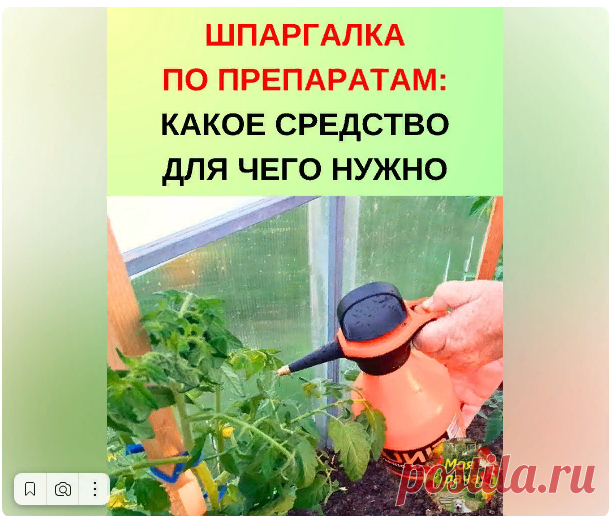Новости