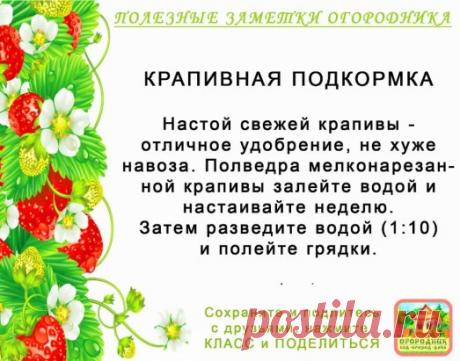КОПИЛОЧКА ОГОРОДНИКА!
Сохраните и поделитесь с друзьями!
#✒ЗаметкиОгородника✒