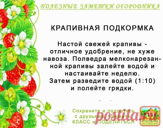 КОПИЛОЧКА  ОГОРОДНИКА!
Сохраните и поделитесь с друзьями!
#✒ЗаметкиОгородника✒