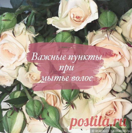 Важные правила при мытье волос / Все проблемы с волосами / Hairmaniac — сообщество об уходе за волосами