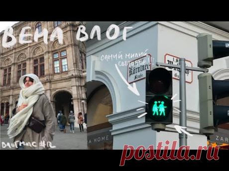 Путешествие в Вену / Университет, Горы, Альбертина / ВЛОГМАС #12