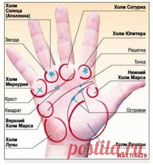 О чём может рассказать ваша ладонь