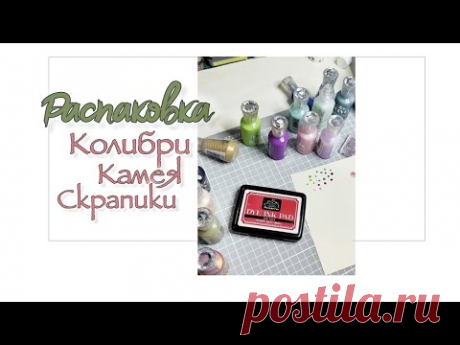 Распаковка/ Колибри, Камея, Скрапики / скрапбукинг