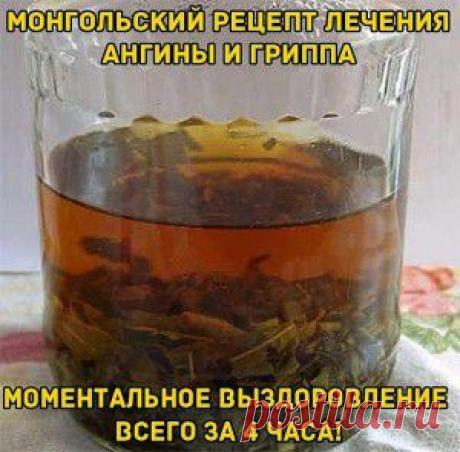 МОНГОЛЬСКИЙ РЕЦЕПТ ЛЕЧЕНИЯ АНГИНЫ И ГРИППА... /