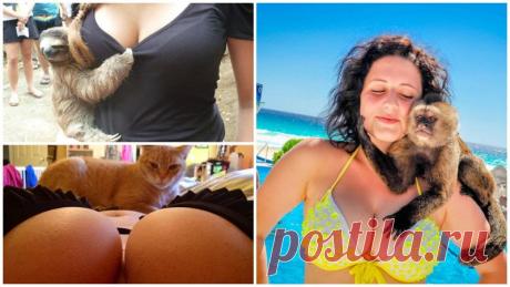 25 ситуаций, когда жалеешь, что родился не животным