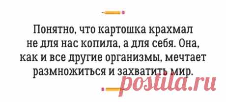 20 умопомрачительных перлов вузовских преподавателей