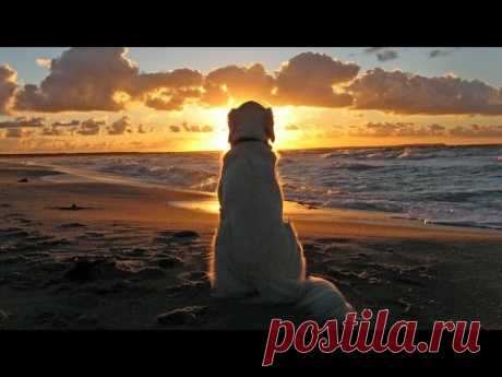 Музыка для души