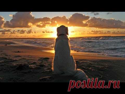 Музыка для души