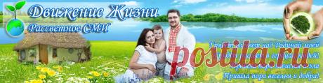 Бездрожжевой хлеб | Движение Жизни