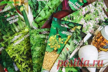 Глубина посева семян