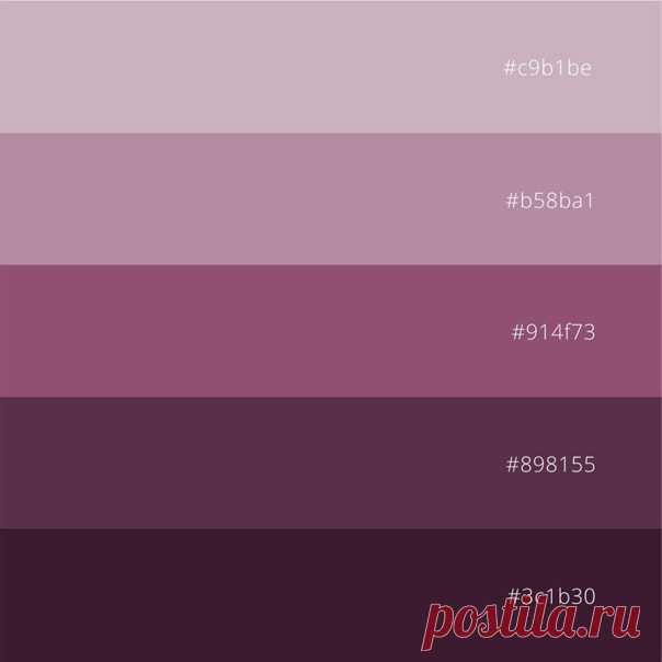 Палитра цвета нежных пионов

Цветовая схема подойдет для оформления социальных сетей, сайтов, однотонного сочетания одежды, интерьера. Посмотреть фото, больше природных палитр.

#цвет #натуральный #палитрарассветгоры #природныецвета #сочетанияцветов #цветоваяпалитра #color #natural #naturalcolors #colorcombinations #colorpalette #HEXcolor