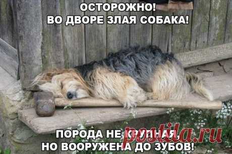 Дмитрий Ларьков