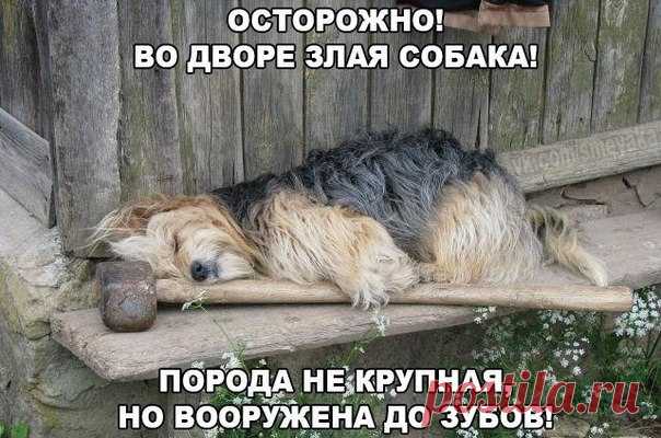 Дмитрий Ларьков