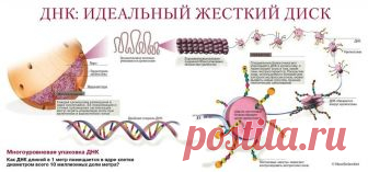 Невероятно! Слова, которые вызывают мутагенный эффект чудовищной силы