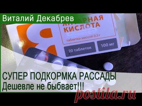СУПЕР ПОДКОРМКА РАССАДЫ. Дешевле не бывает!