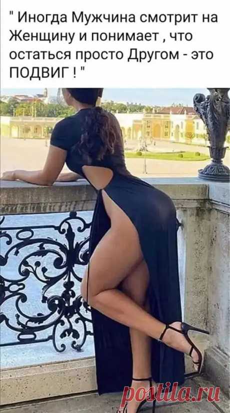 Смехопанорама
