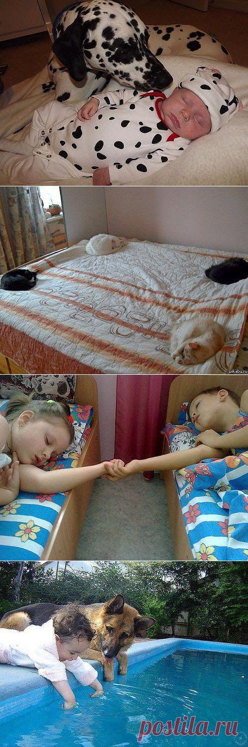 СУПЕР ПОЗИТИВ