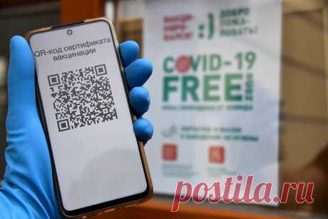 QR-код по справке об антителах начнут выдавать в России в 2022 году: Как получить - KP.Ru