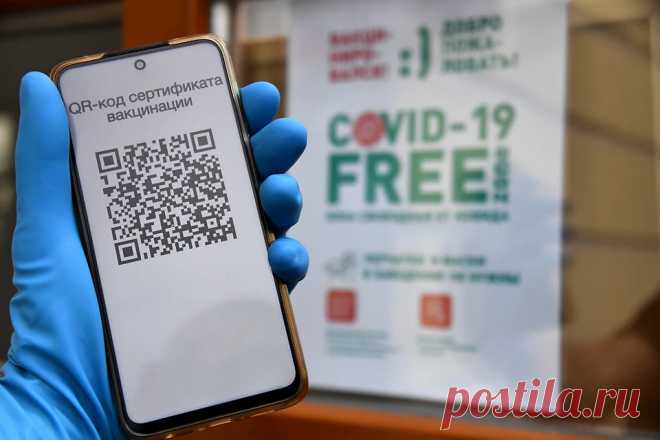 QR-код по справке об антителах начнут выдавать в России в 2022 году: Как получить - KP.Ru