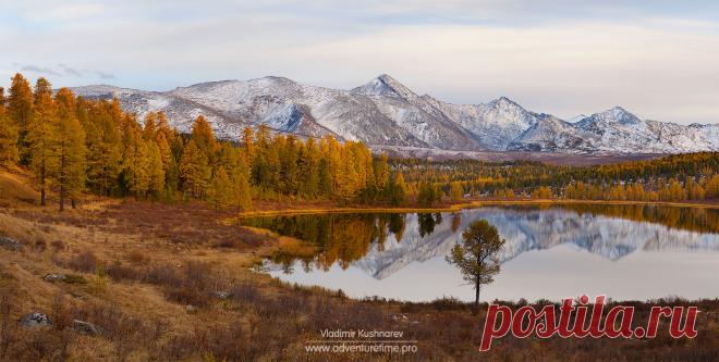 Осенние Краски Алтая  |  http://35awards.com