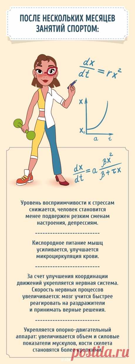 Что происходит с телом, если полчаса в день заниматься спортом