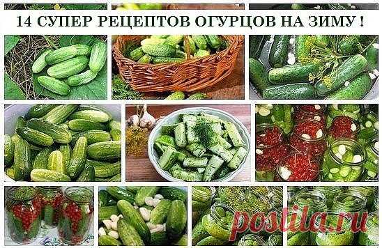 Одноклассники