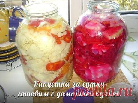 ЛЮБЛЮ ГОТОВИТЬ
Вика Новикова