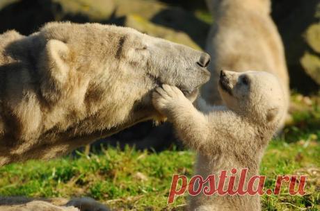 Семейный альбом / Путешествия / Моя Планета