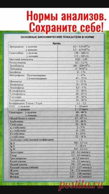 Пин на доске про жизнь