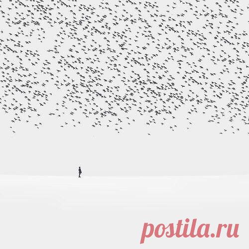 [шесть слов]