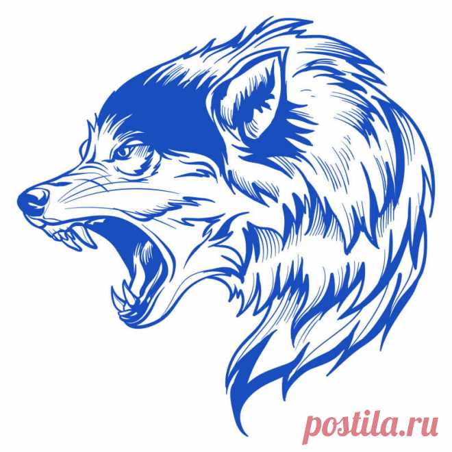 Аватарка синий волк. Эту и другие картинки и фото на аву высокого качества вы можете скачать на нашем сайте.