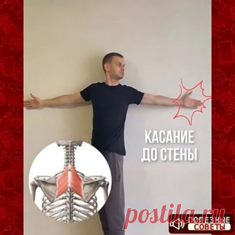 Массаж глаз для восстановления зрения! Вижу без очков в разы лучше…

Массируй активные точки с надавливанием, около 90 секунд каждую! Это отличная профилактика близорукости и катаракты.

1. Сильно массируй надбровные дуги. 

2. Массируй край нижней части глазницы. 

3. Надавливай на наружные уголки глаз, затем — на внутренние. 

4. Хорошо разомни переносицу. 

5. Нажми на пазухи носа, расположенные под глазами. 

6. Очень сильно надавливай на закрытые веки, 10-12 раз. 

7....