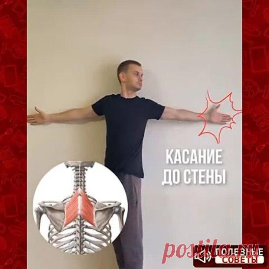 Массаж глаз для восстановления зрения! Вижу без очков в разы лучше…

Массируй активные точки с надавливанием, около 90 секунд каждую! Это отличная профилактика близорукости и катаракты.

1. Сильно массируй надбровные дуги. 

2. Массируй край нижней части глазницы. 

3. Надавливай на наружные уголки глаз, затем — на внутренние. 

4. Хорошо разомни переносицу. 

5. Нажми на пазухи носа, расположенные под глазами. 

6. Очень сильно надавливай на закрытые веки, 10-12 раз. 

7....