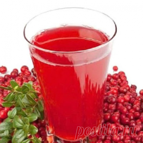 Квас из клюквы