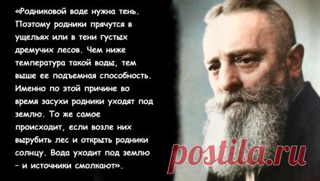«Овладев тайной воды, вы положите конец ненависти, зависти и всем видам раздора». Изобретатель Виктор Шаубергер о забытых знаниях о воде | Просто Жить | Дзен
